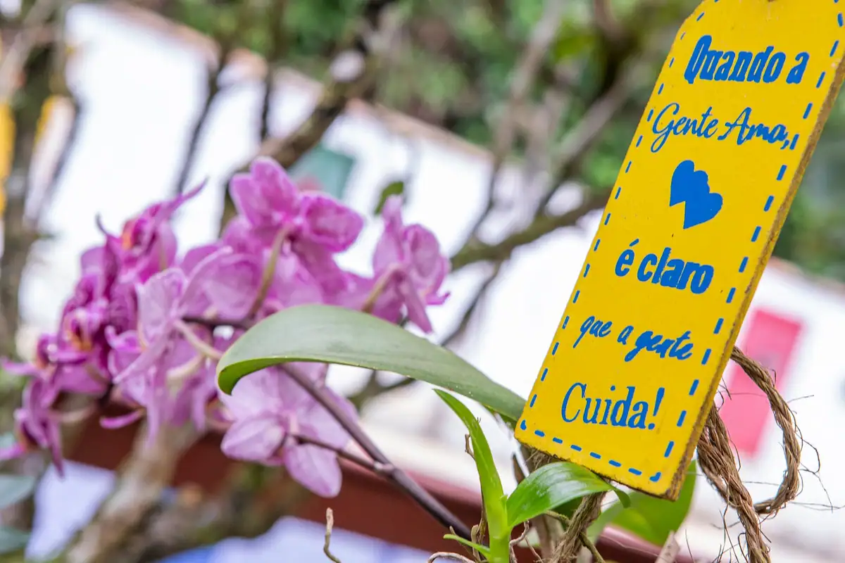 Orquídeas e plaquinha de boas-vindas