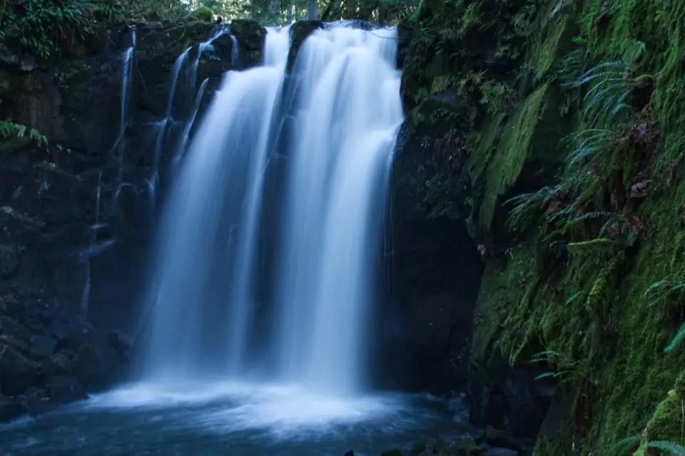 Waterfall in the middle of the forest